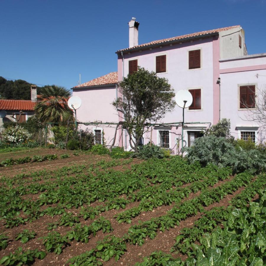 Apartments Anita Veli Lošinj Exteriér fotografie